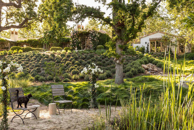 Inside Patina Farm: A Beautifully Designed Ojai Home