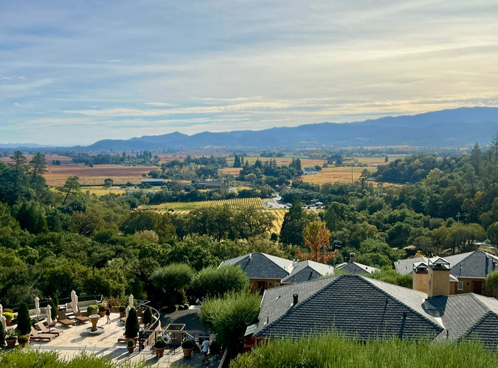 Napa for Thanksgiving