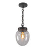 Charleston Pendant Light