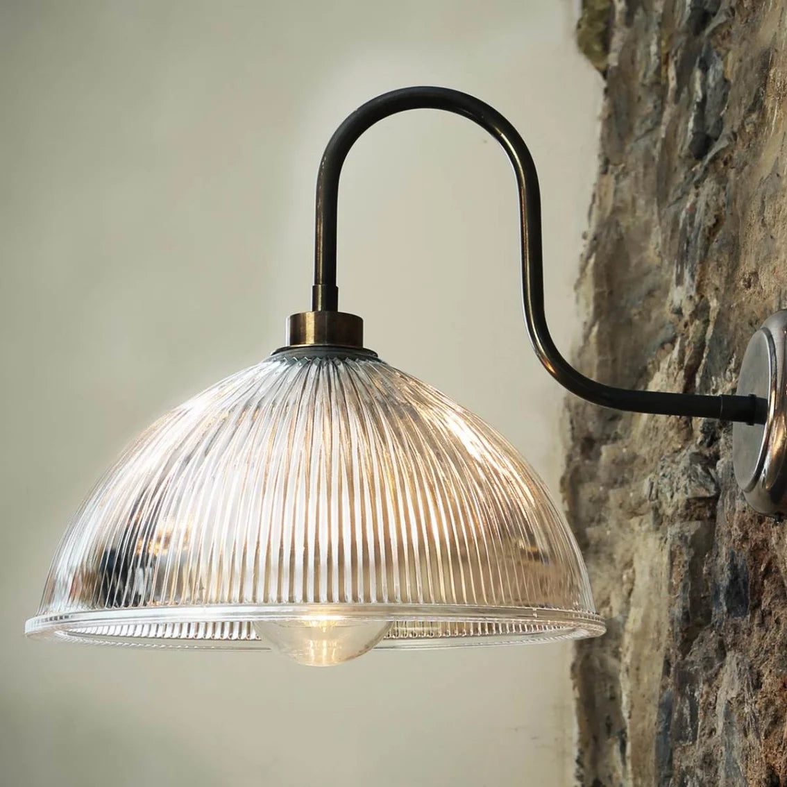 Cagney Swan Neck Wall Light