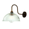 Cagney Swan Neck Wall Light