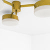 Celeste Epiphany Wall and Ceiling Light - hadleyjameslighting