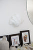 Fluted Shell  Wall Light - hadleyjameslighting