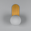 Adrion Wall Light